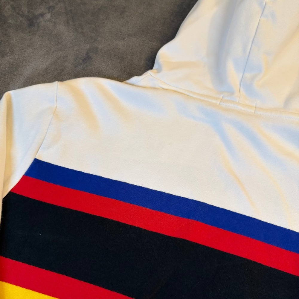 Polo by Ralph Lauren Multicolor Hoodie - Picture 7 of 14